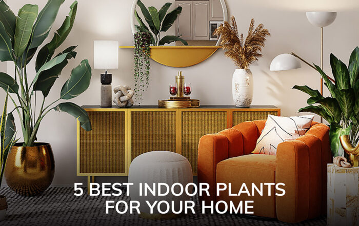 Blog indoor plants FI
