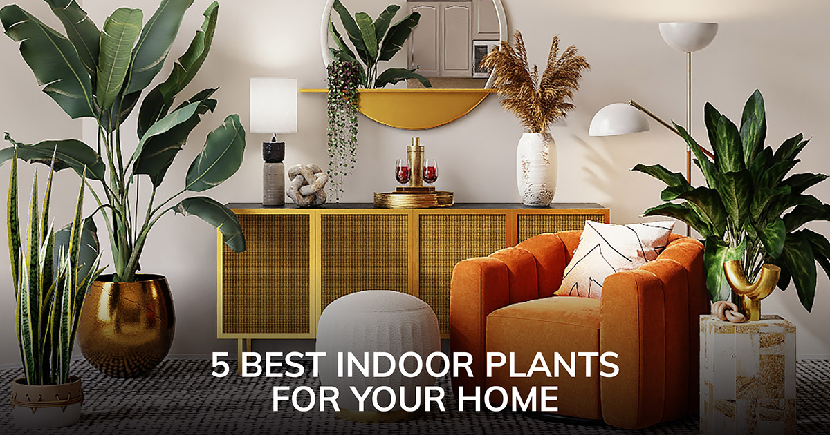 Blog indoor plants FI