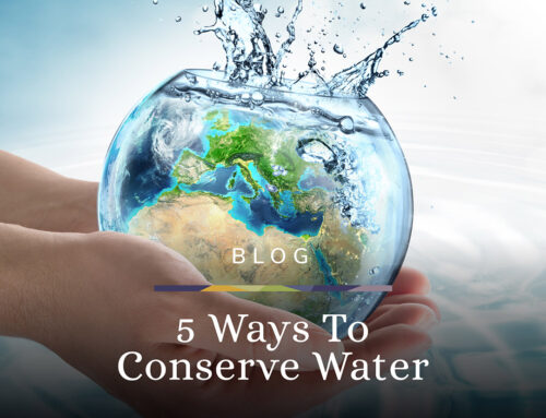 5 Ways To Conserve Water