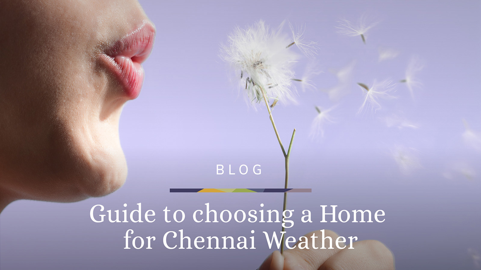 Guide to choosing a home in chennai