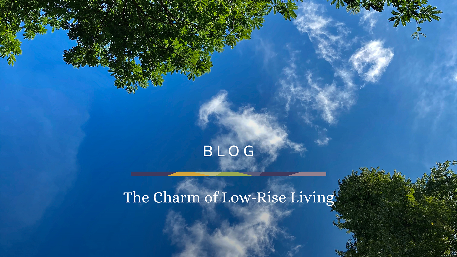 The Charm of Low-Rise Living