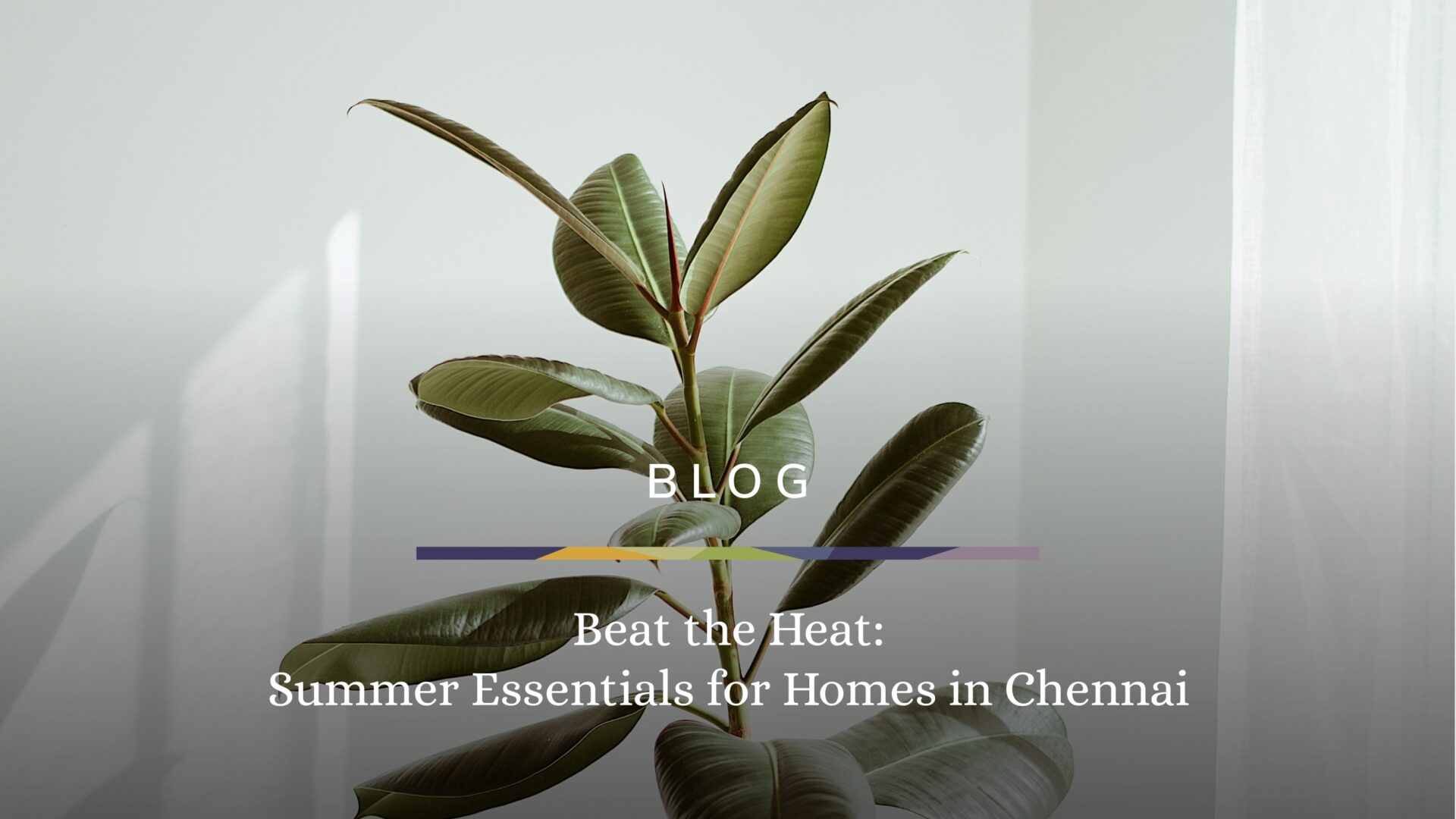 Blog - Beat the Heat: Summer Essentials for Homes in Chennai