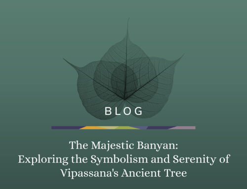 The Majestic Banyan: Exploring the Symbolism and Serenity of Vipassana’s Ancient Tree
